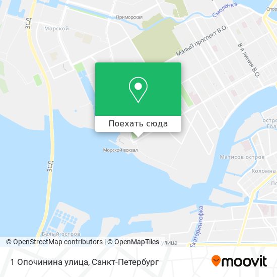 Карта 1 Опочинина улица