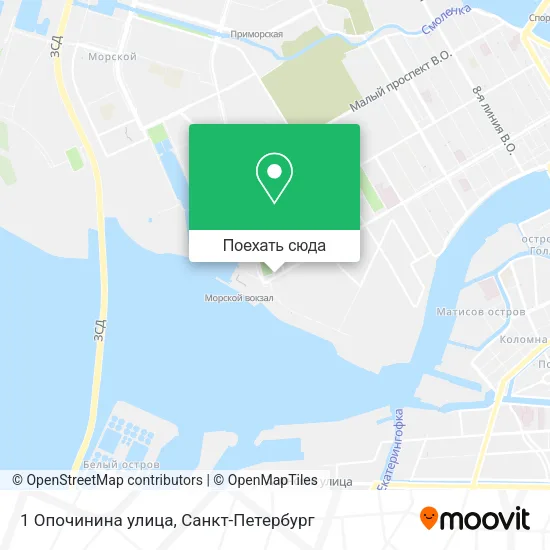 Карта 1 Опочинина улица