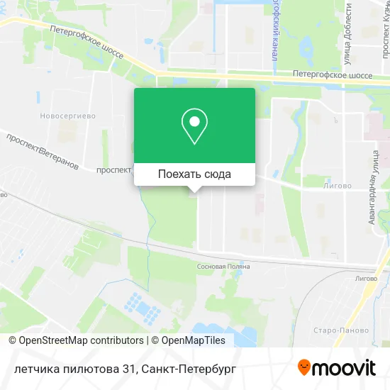 Карта летчика пилютова 31
