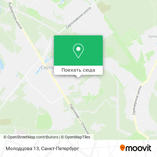 Карта Молодцова 13