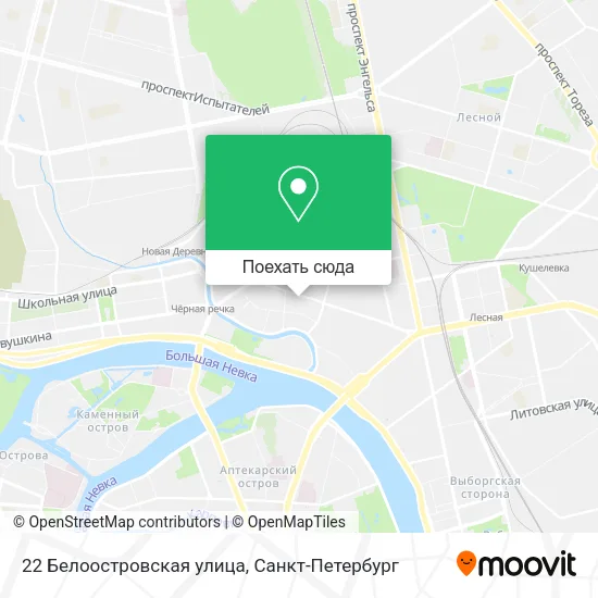 Карта 22 Белоостровская улица