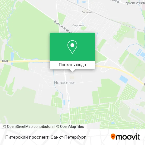 Карта Питерский проспект