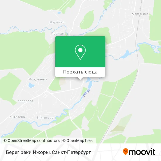 Карта Берег реки Ижоры