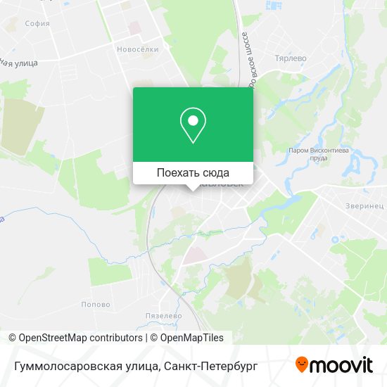 Карта Гуммолосаровская улица