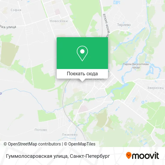 Карта Гуммолосаровская улица