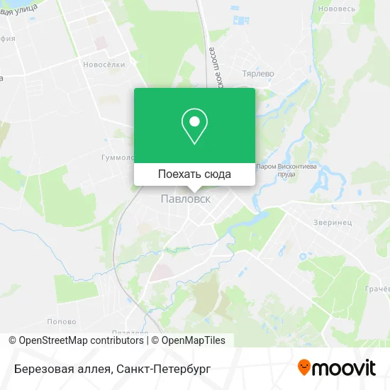 Карта Березовая аллея