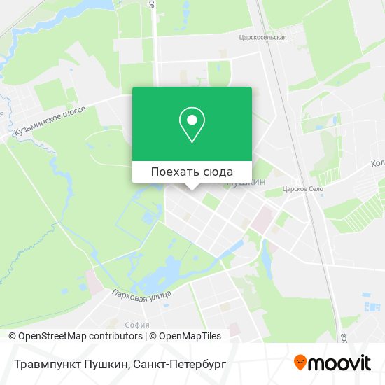Карта Травмпункт Пушкин