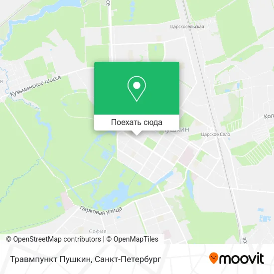 Карта Травмпункт Пушкин