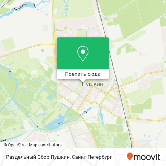 Карта Раздельный Сбор Пушкин