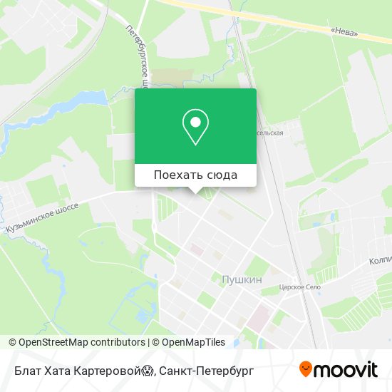 Карта Блат Хата Картеровой😱