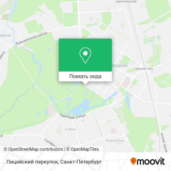 Карта Лицейский переулок