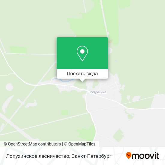Карта Лопухинское лесничество