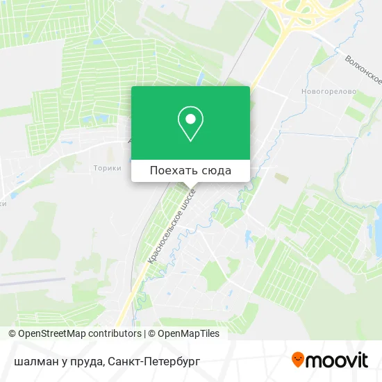 Карта шалман у пруда