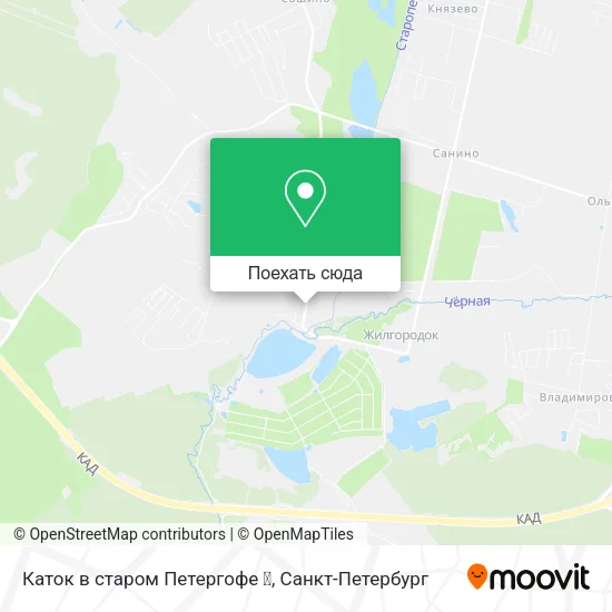 Карта Каток в старом Петергофе ❄