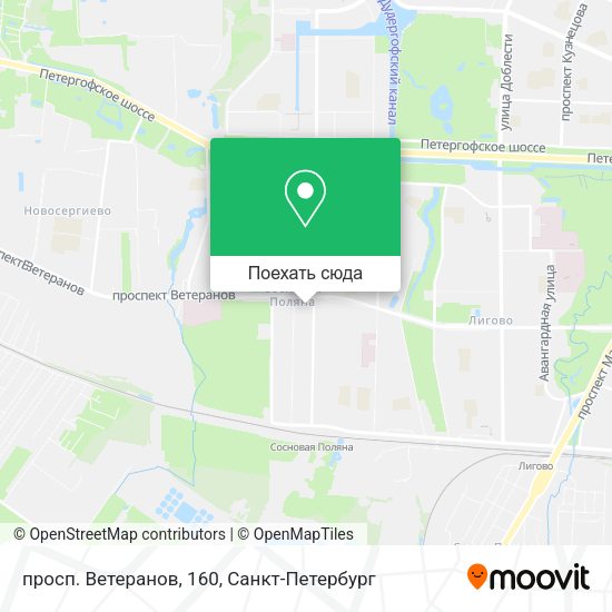 Карта просп. Ветеранов, 160