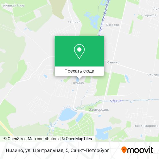 Карта Низино, ул. Центральная, 5
