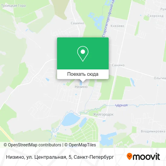 Карта Низино, ул. Центральная, 5