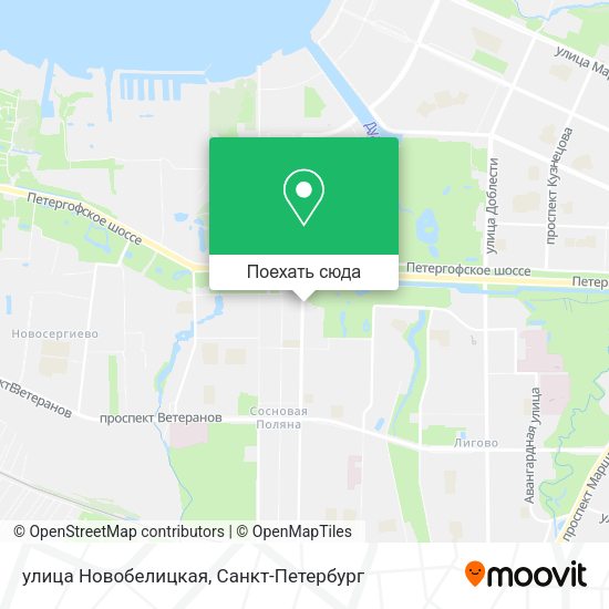 Карта улица Новобелицкая
