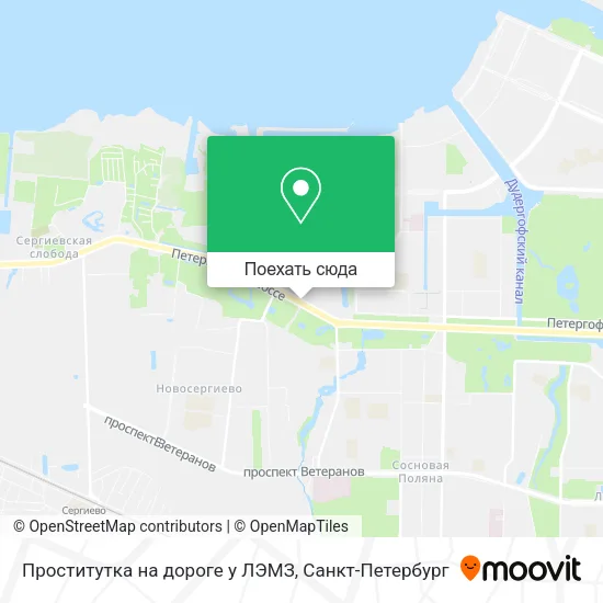 Карта Проститутка на дороге у ЛЭМЗ