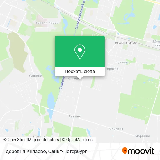 Карта деревня Князево