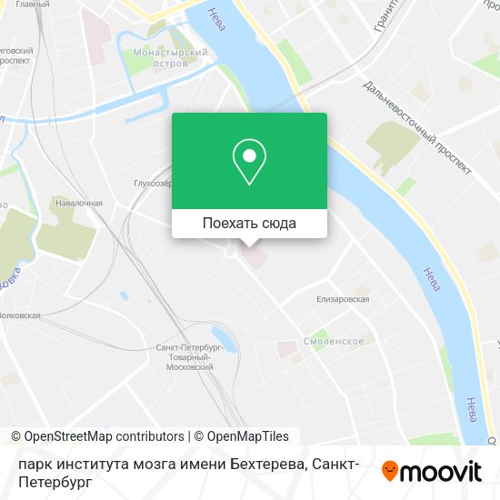 Карта парк института мозга имени Бехтерева
