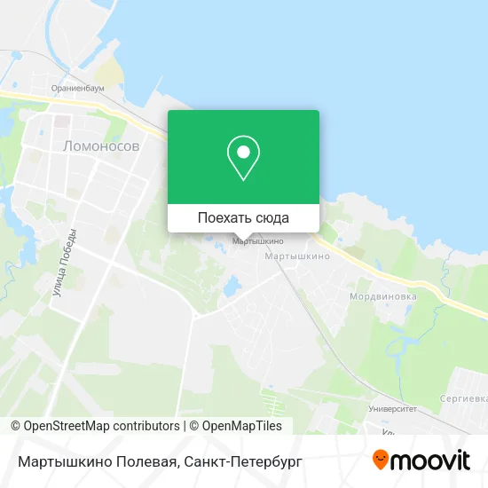 Карта Мартышкино Полевая
