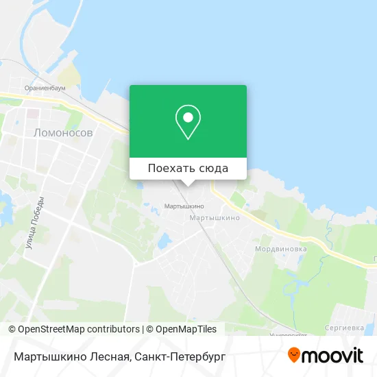 Карта Мартышкино Лесная