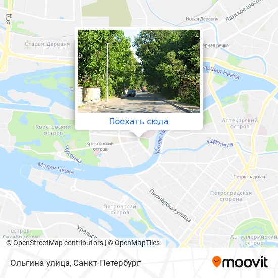 Карта Ольгина улица