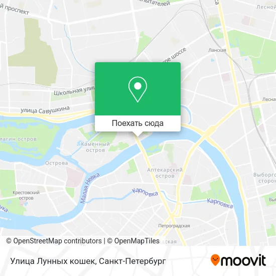 Карта Улица Лунных кошек