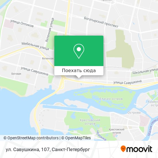 Карта ул. Савушкина, 107
