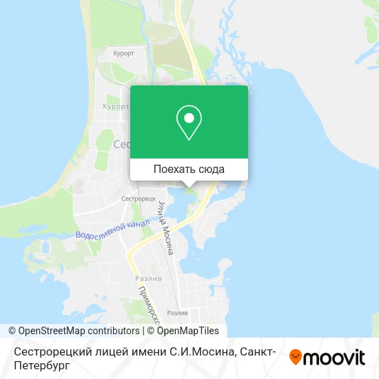 Карта Сестрорецкий лицей имени С.И.Мосина