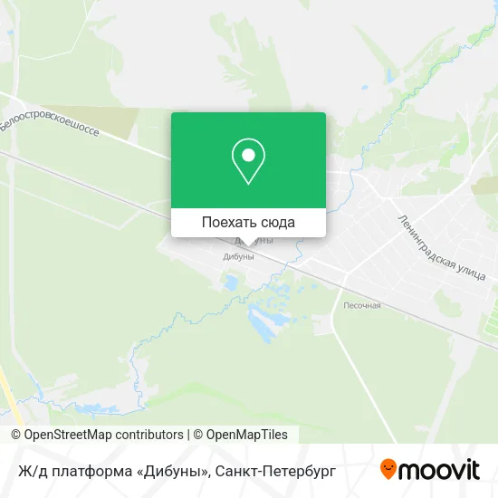 Карта Ж/д платформа «Дибуны»