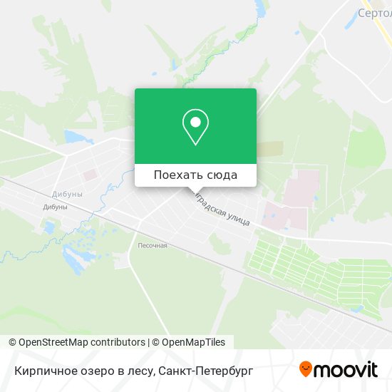 Карта Кирпичное озеро в лесу