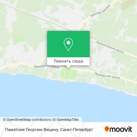 Карта Памятник Георгию Вицину
