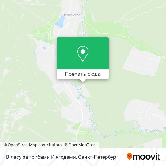 Карта В лесу за грибами И ягодами