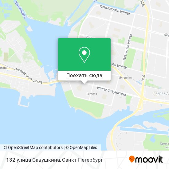Савушкина 132 карта