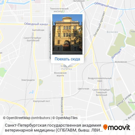 Карта университетов спб