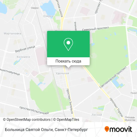 Карта Больница Святой Ольги
