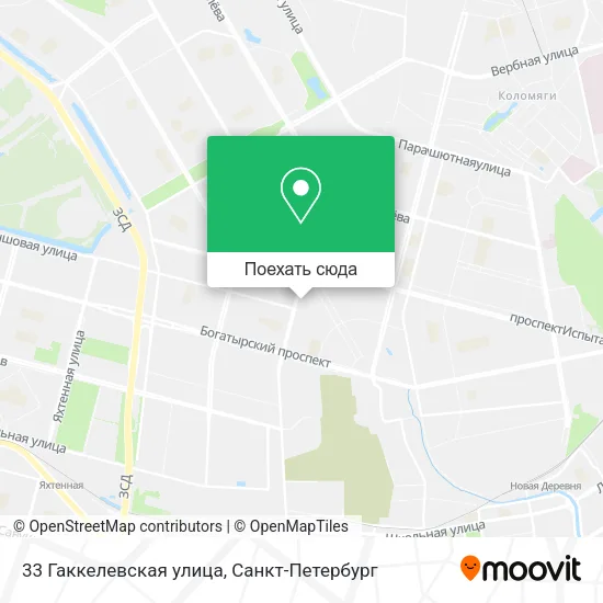 Карта 33 Гаккелевская улица