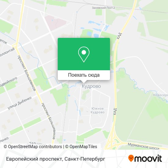 Карта Европейский проспект