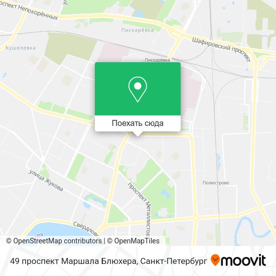 Карта 49 проспект Маршала Блюхера