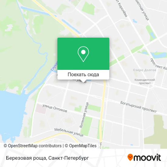 Карта Березовая роща
