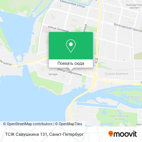Карта ТСЖ Савушкина 131
