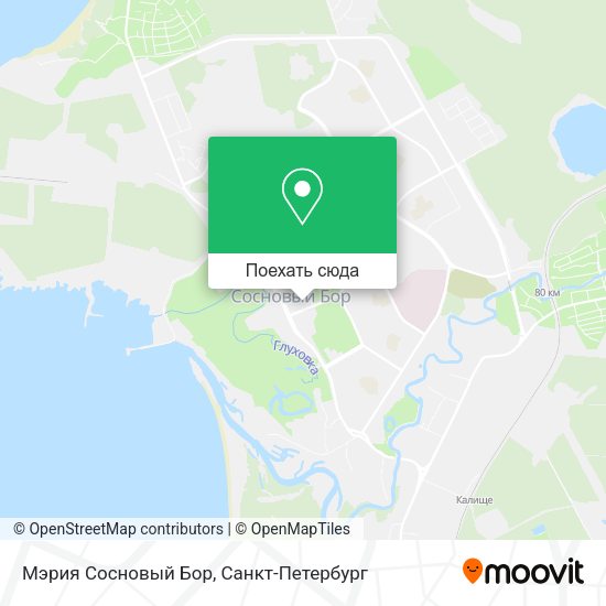 Карта Мэрия Сосновый Бор
