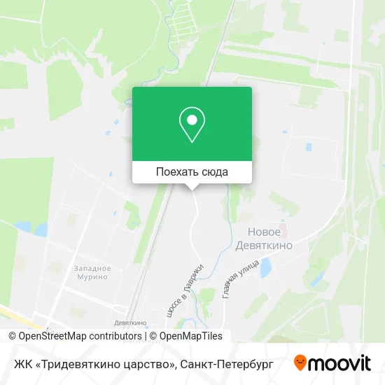 Карта ЖК «Тридевяткино царство»