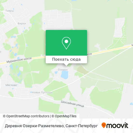 Карта Деревня Озерки-Разметелево
