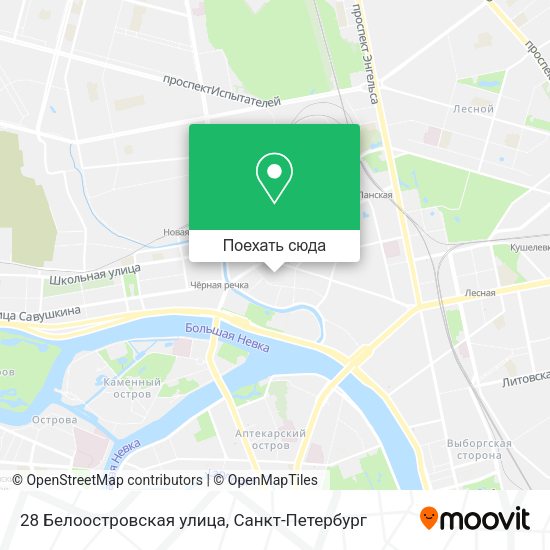 Карта 28 Белоостровская улица