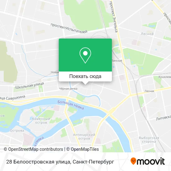 Карта 28 Белоостровская улица