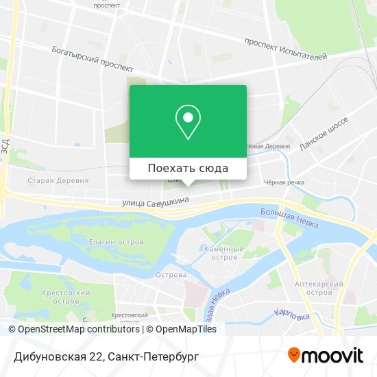 Карта Дибуновская 22