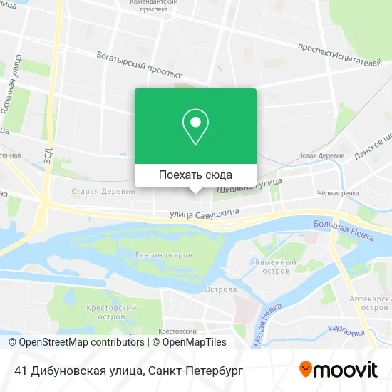 Карта 41 Дибуновская улица